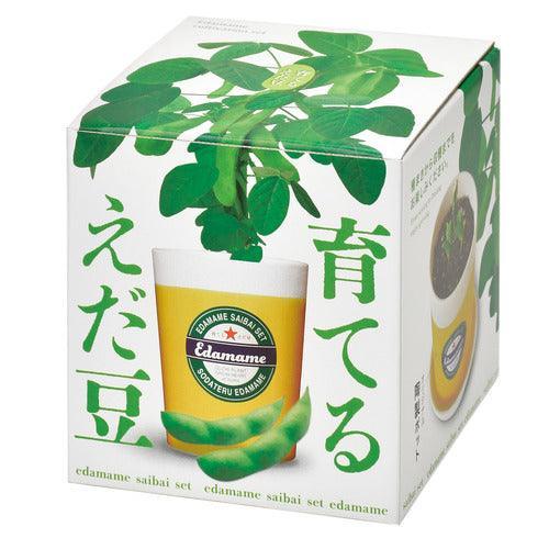 Edamame Growing Kit - SpectrumStore SG