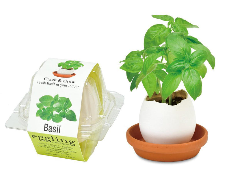 Eggling (Clear Package) - Basil - SpectrumStore SG