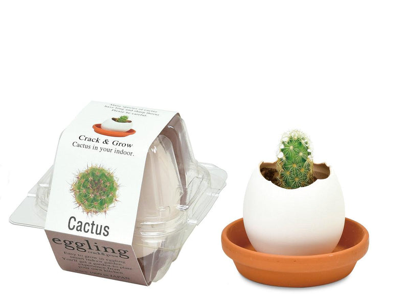 Eggling (Clear Package) - Cactus