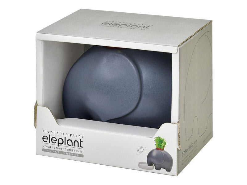 Eleplant - Grey - Apple Mint - SpectrumStore SG