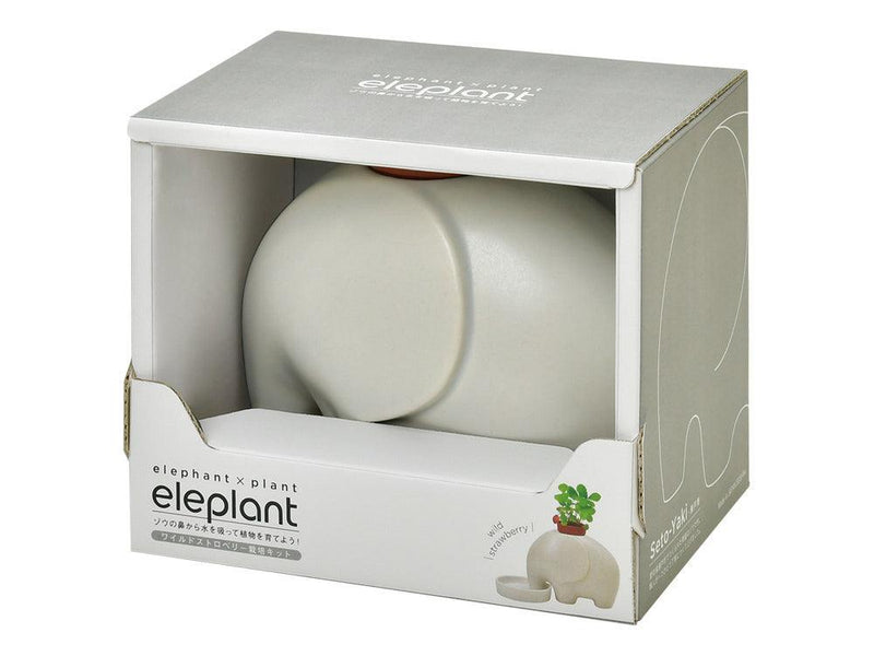 Eleplant - White - Wild Strawberry - SpectrumStore SG