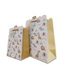 Generic Baby Gift Bag - SpectrumStore SG