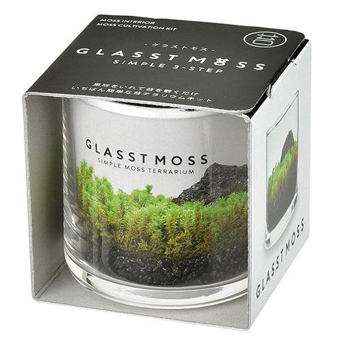Glasst Moss (L) - SpectrumStore SG
