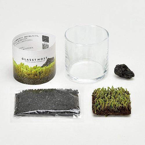 Glasst Moss (L) - SpectrumStore SG