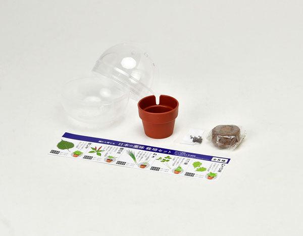 Green Capsule - Assorted Yakumi (Japanese Spices) [5 Styles] - SpectrumStore SG