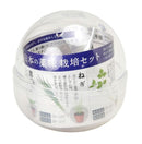 Green Capsule - Assorted Yakumi (Japanese Spices) [5 Styles] - SpectrumStore SG