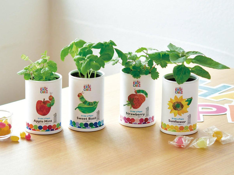 Grow a Plant - Friendly - The Very Hungry Caterpillar - Strawberry - SpectrumStore SG