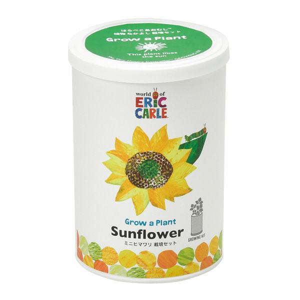 Grow a Plant - Friendly - The Very Hungry Caterpillar - Sunflower - SpectrumStore SG