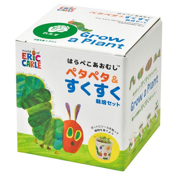 Grow a Plant - Stick up & Grow up - The Very Hungry Caterpillar - Lettuce - SpectrumStore SG