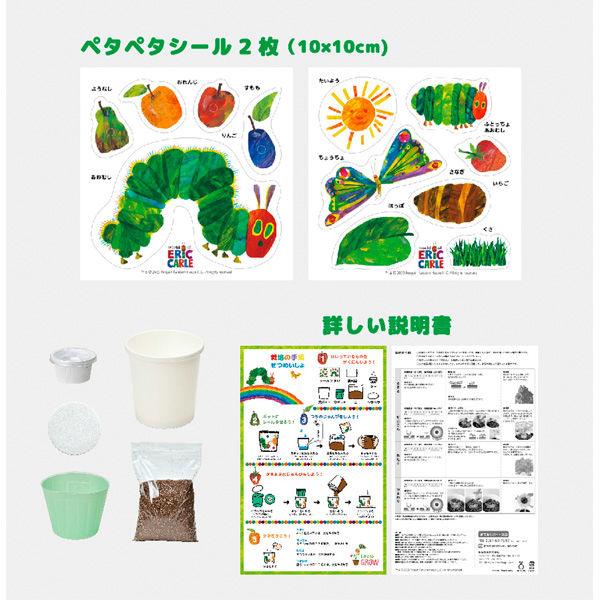 Grow a Plant - Stick up & Grow up - The Very Hungry Caterpillar - Radish - SpectrumStore SG