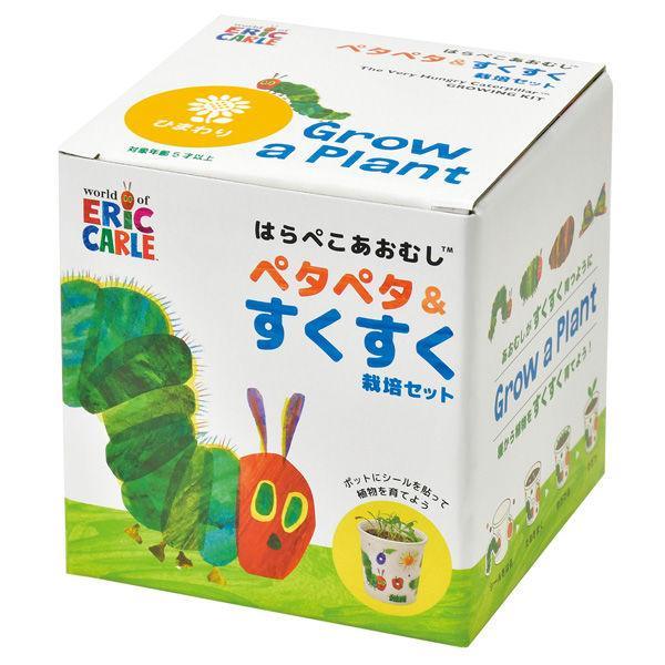 Grow a Plant - Stick up & Grow up - The Very Hungry Caterpillar - Sunflower - SpectrumStore SG