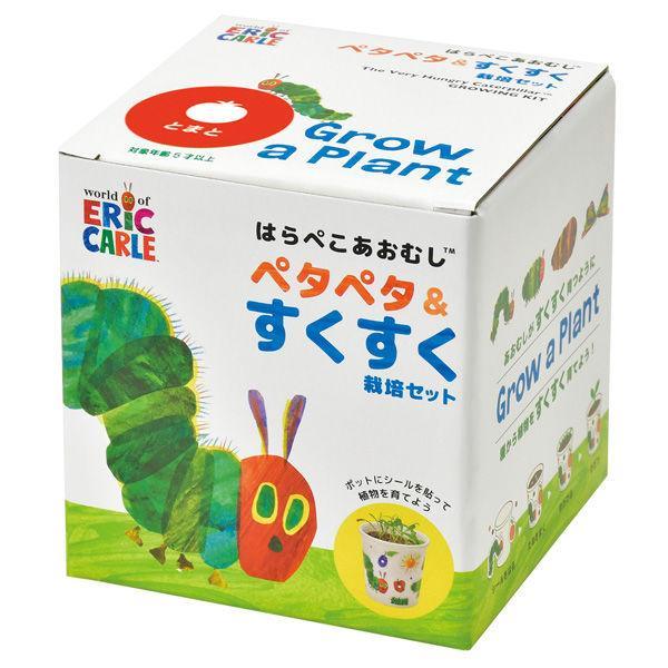 Grow a Plant - Stick up & Grow up - The Very Hungry Caterpillar - Tomato - SpectrumStore SG