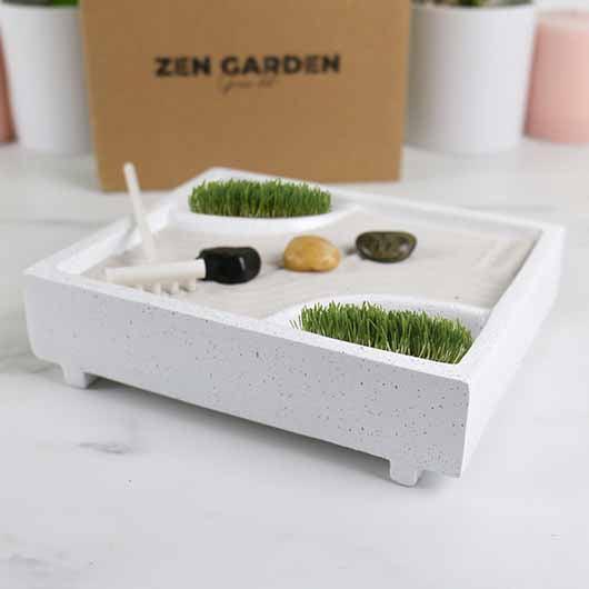 Grow Kit: Zen Garden - SpectrumStore SG