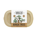 Sow & Co. Plants - Bonsai Trees