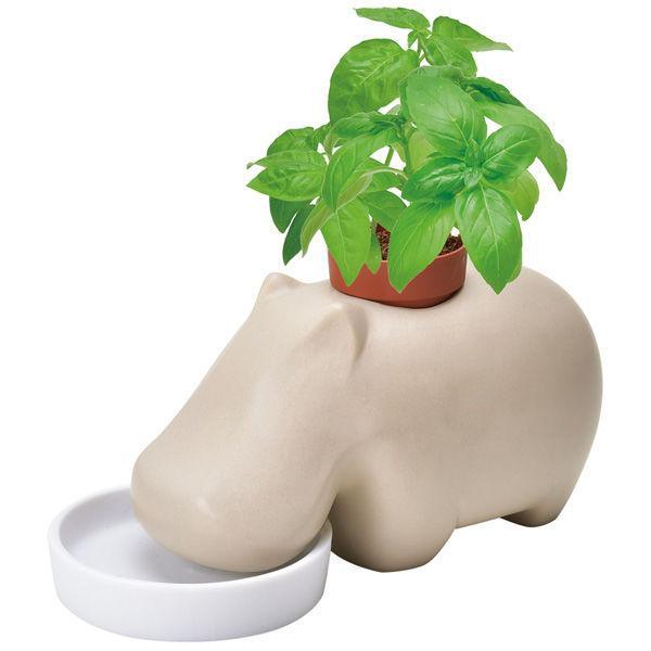 Hippoplant - Beige - Sweet Basil - SpectrumStore SG