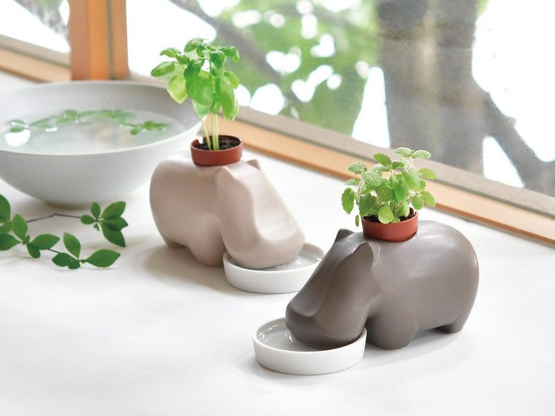 Hippoplant - Beige - Sweet Basil - SpectrumStore SG