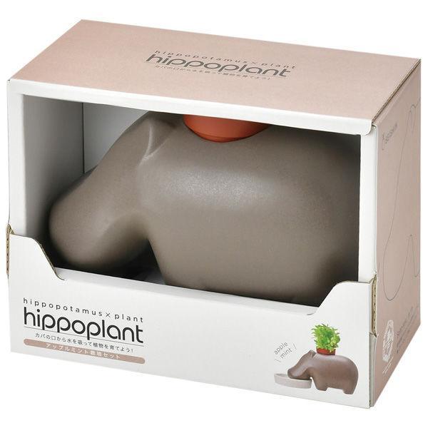 Hippoplant - Brown - Apple Mint - SpectrumStore SG