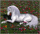 Torch & Projector: Fairy & Unicorn