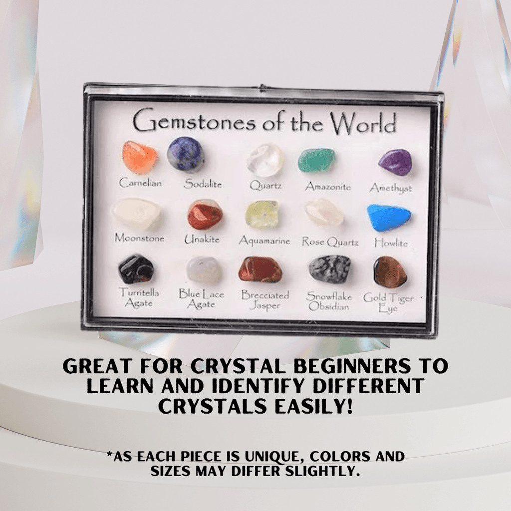 Spectrum Graph Box Mini Gem Chart Box | Spectrum Store: Family Lifestyle Store
