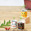 Omedeta Ochoko - Beko Black - Black Pine - SpectrumStore SG