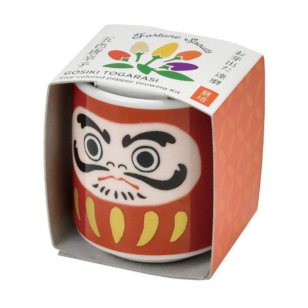 Omedeta Ochoko - Daruma Red - Ornamental Pepper - SpectrumStore SG