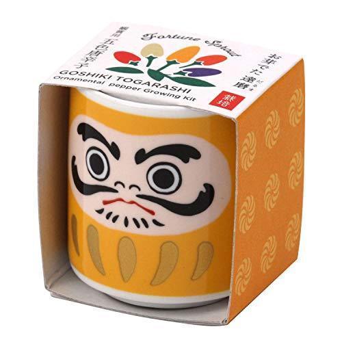 Omedeta Ochoko - Daruma Yellow - Ornamental Pepper - SpectrumStore SG