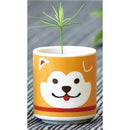 Omedeta Ochoko - Hachi (Shiba Inu) Brown - Red Pine - SpectrumStore SG