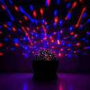 Planetarium Projector