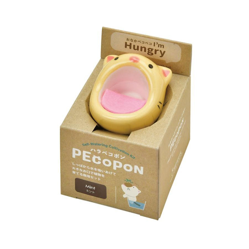 PecoPon - Orange Tabby Cat - Pepper Mint - SpectrumStore SG