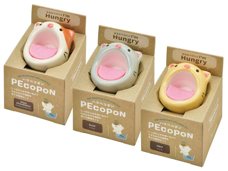 PecoPon - Orange Tabby Cat - Pepper Mint - SpectrumStore SG