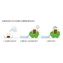 Peropon Animals - Frog - Pepper Mint - SpectrumStore SG