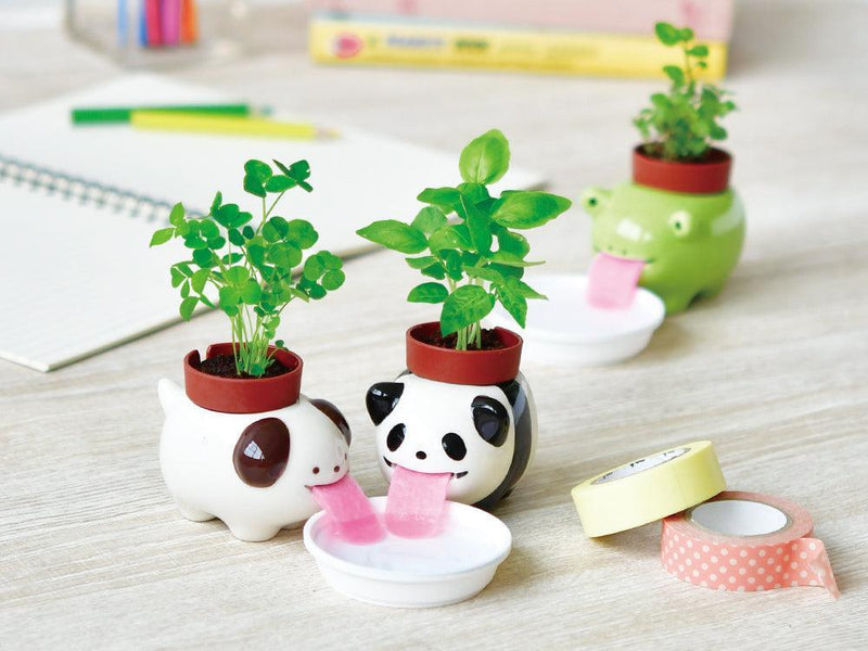 Peropon Animals - Panda - Sweet Basil - SpectrumStore SG