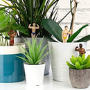 Plant Pot Mini: Hunk Planters - SpectrumStore SG