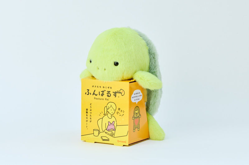 Posture Pal - Sea Turtle