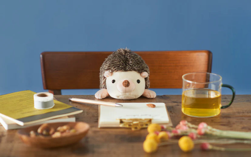 Posture Pal - Hedgehog