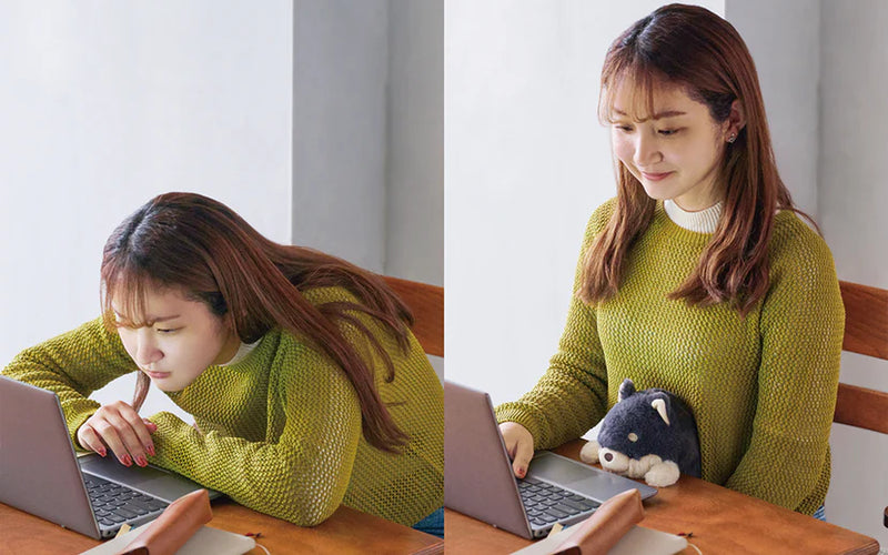 Posture Pal - Shiba Inu Black