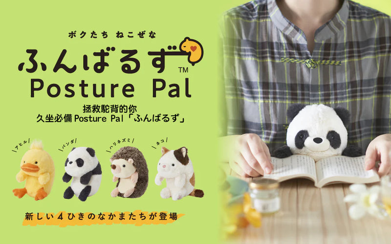 Posture Pal - Calico Cat