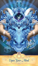 Seeker Oracle - SpectrumStore SG