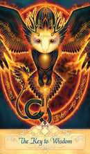 Seeker Oracle - SpectrumStore SG