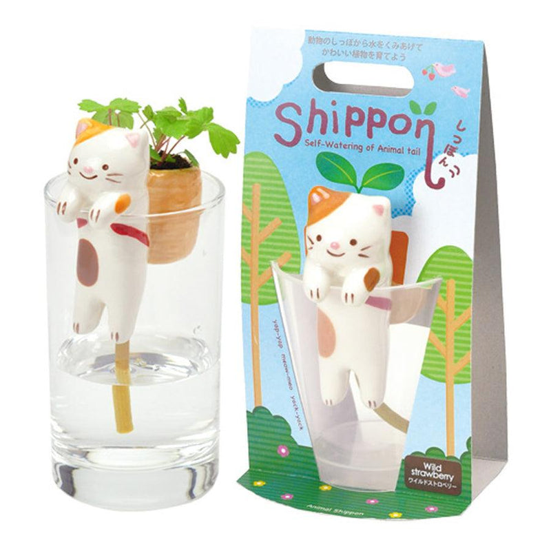 Shippon - Cat (Wild Strawberry) - SpectrumStore SG