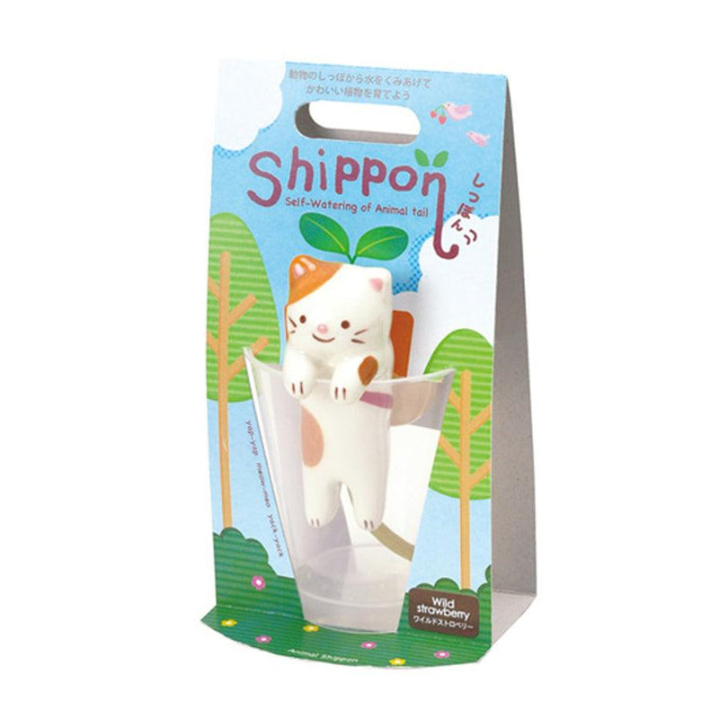 Shippon - Cat (Wild Strawberry) - SpectrumStore SG
