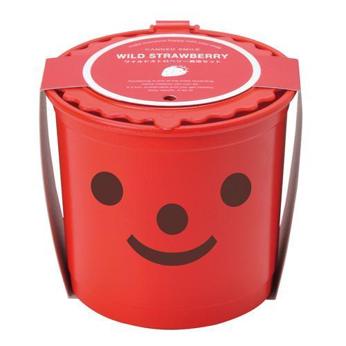 Smile & Smile - Red - Wild Strawberry - SpectrumStore SG