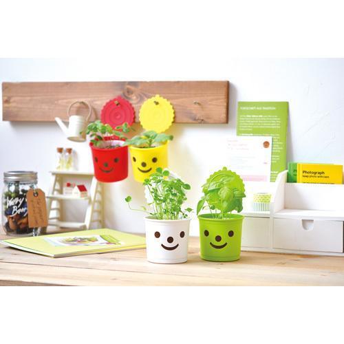 Smile & Smile - White - Clover - SpectrumStore SG