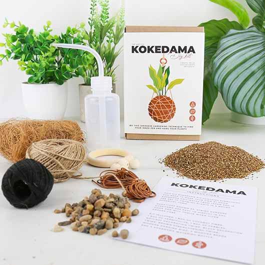 The Art of Kokedama DIY Kit