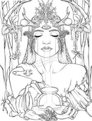 Messenger's Scribe Journal