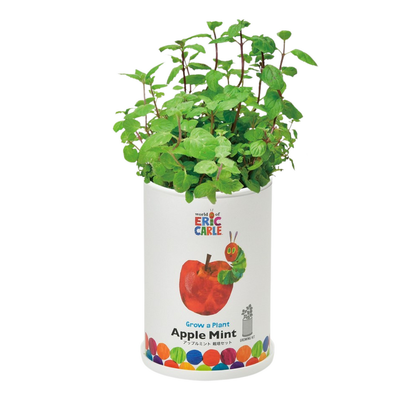 Grow a Plant - Friendly - The Very Hungry Caterpillar - Apple Mint