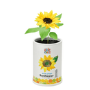 Grow a Plant - Friendly - The Very Hungry Caterpillar - Sunflower