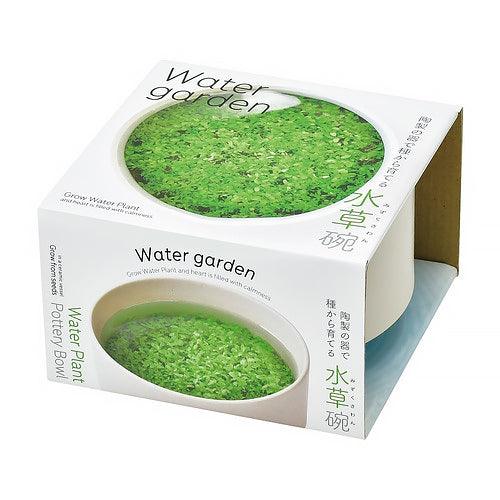 Water Plants with Ceramic Pot (M) - SpectrumStore SG