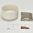 Water Plants with Ceramic Pot (M) - SpectrumStore SG