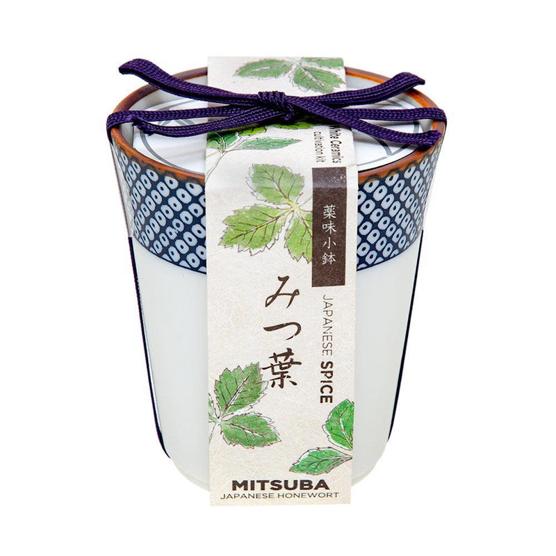 Yakumi - Growing Kit - Mitsuba (Japanese Honewort) - SpectrumStore SG